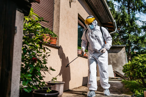 Professional Pest Control in Mississippi State, MS