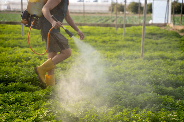 Best Pest Prevention Services  in Mississippi State, MS