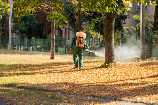 Best Rodent Control Near Me  in Mississippi State, MS