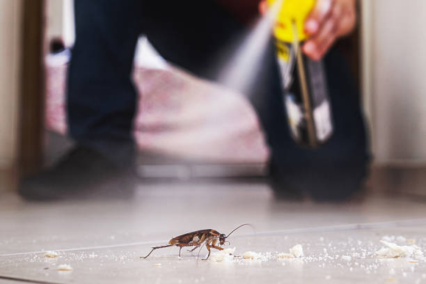 Best Local Pest Control Services  in Mississippi State, MS