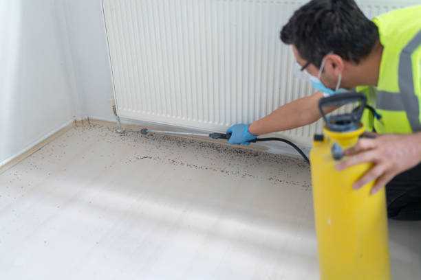 Best Cockroach Control Services  in Mississippi State, MS